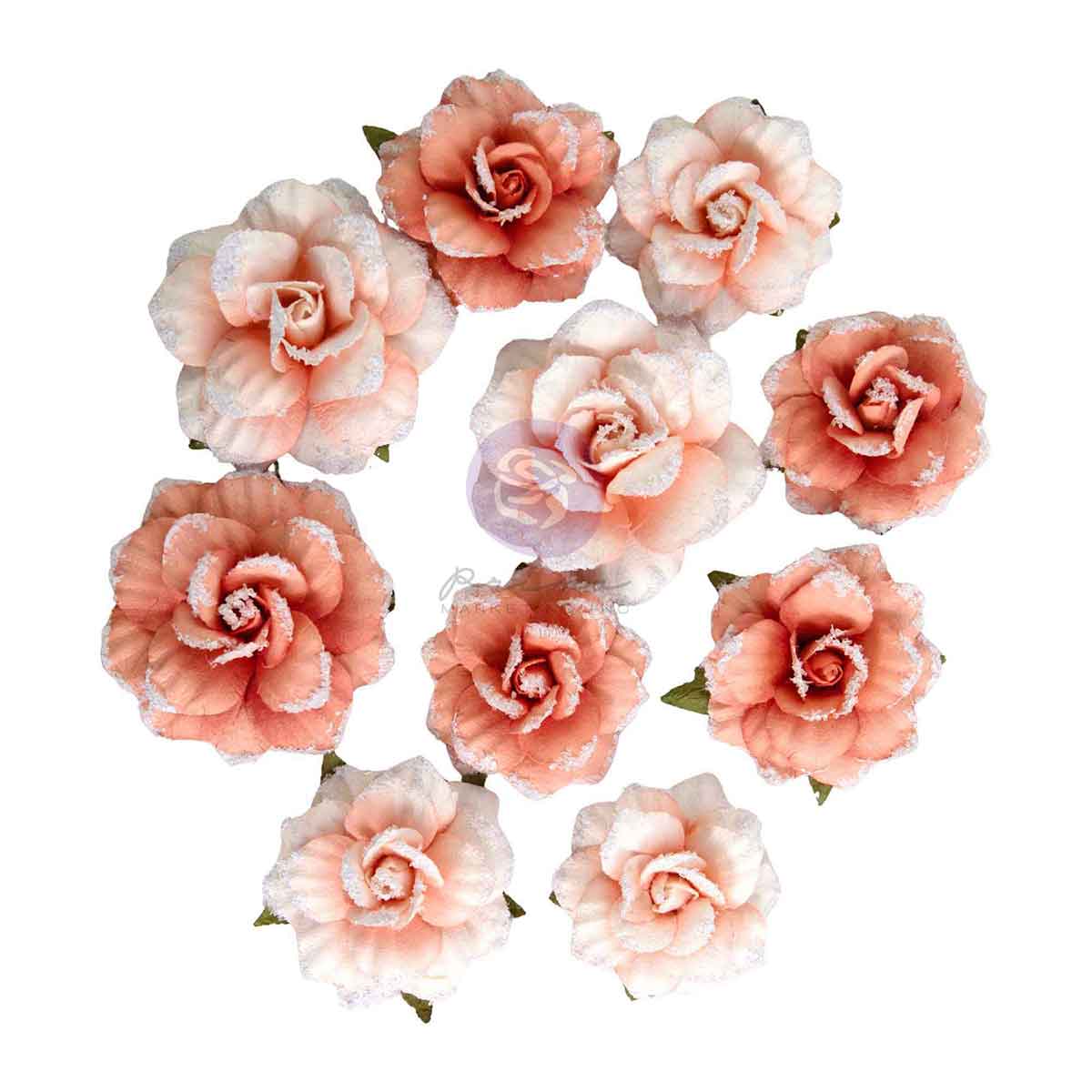 Prima - Homegrown Collection Flowers – Garden Rose Blush – 10 pcs