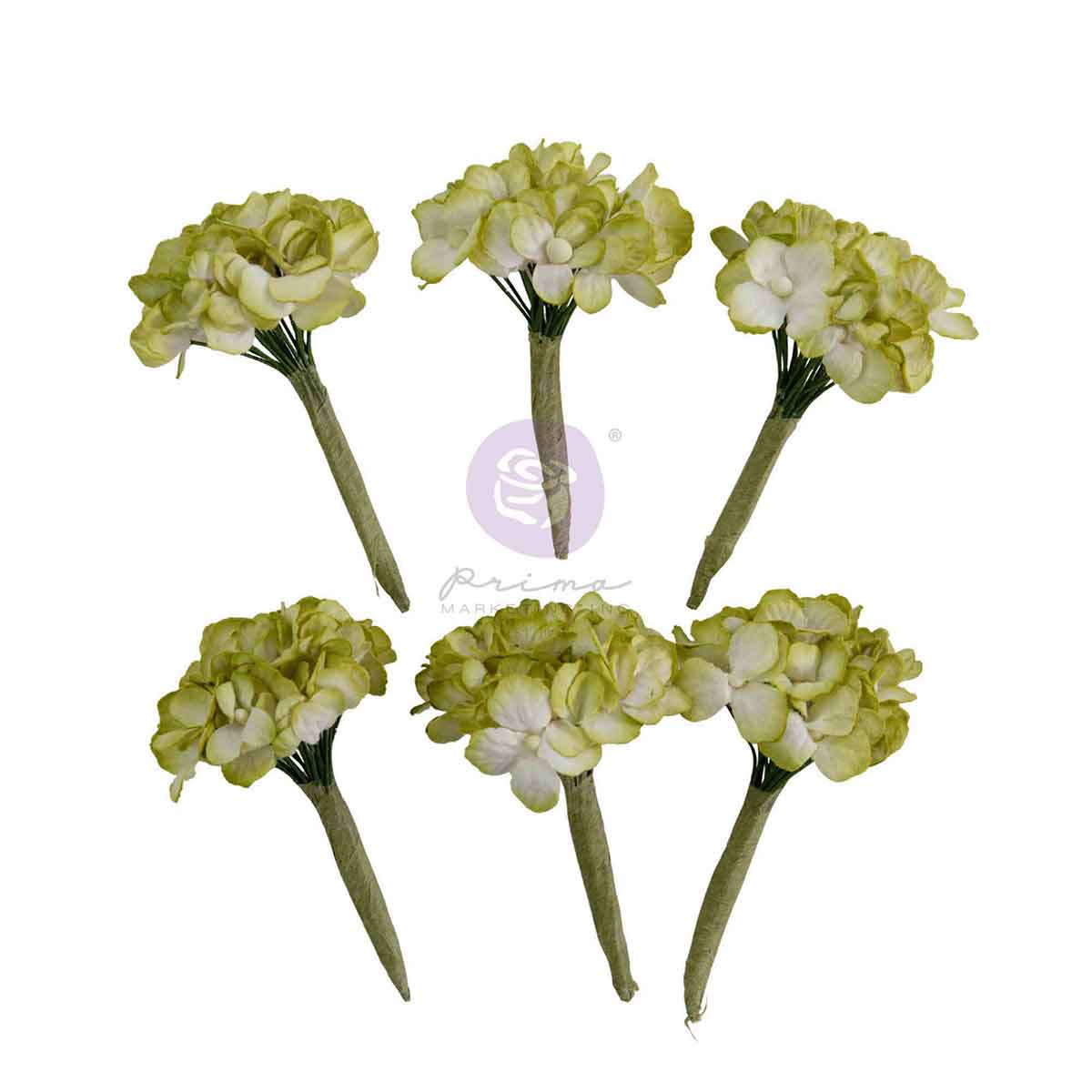 Prima - Homegrown Collection Flowers – Garden Hydrangea Mist – 5 pc