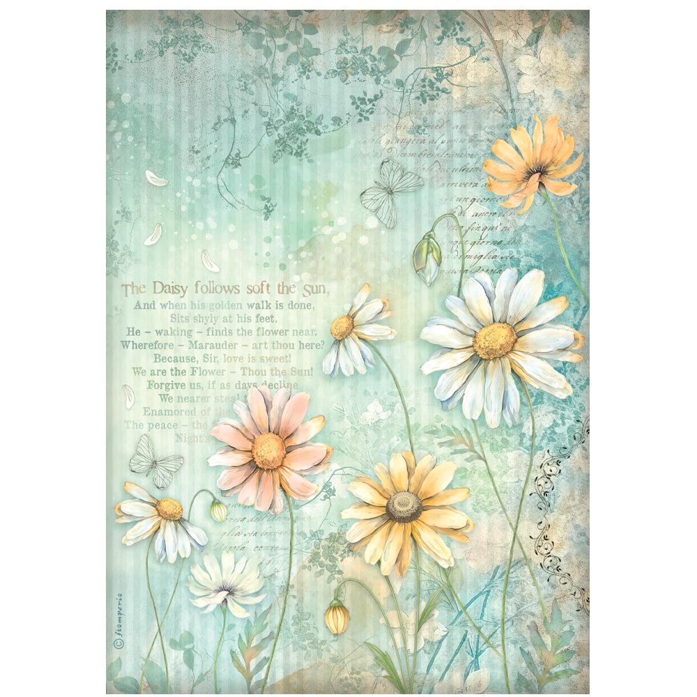 Stamperia - Rice Paper - 21cm x 29.7cm - Daisy Art - Daisies