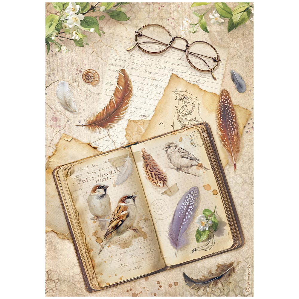Stamperia - Rice Paper - 21cm x 29.7cm - A4 - All Around book