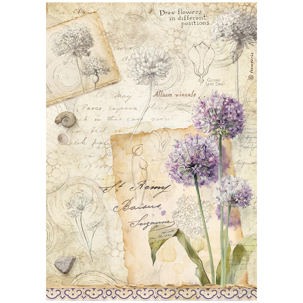 Stamperia - Rice Paper - 21cm x 29.7cm - A4 - All Around allum