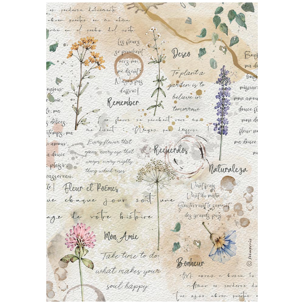 Stamperia - Rice Paper - 21cm x 29.7cm - A4 - Flowers and Poems flowers and writings