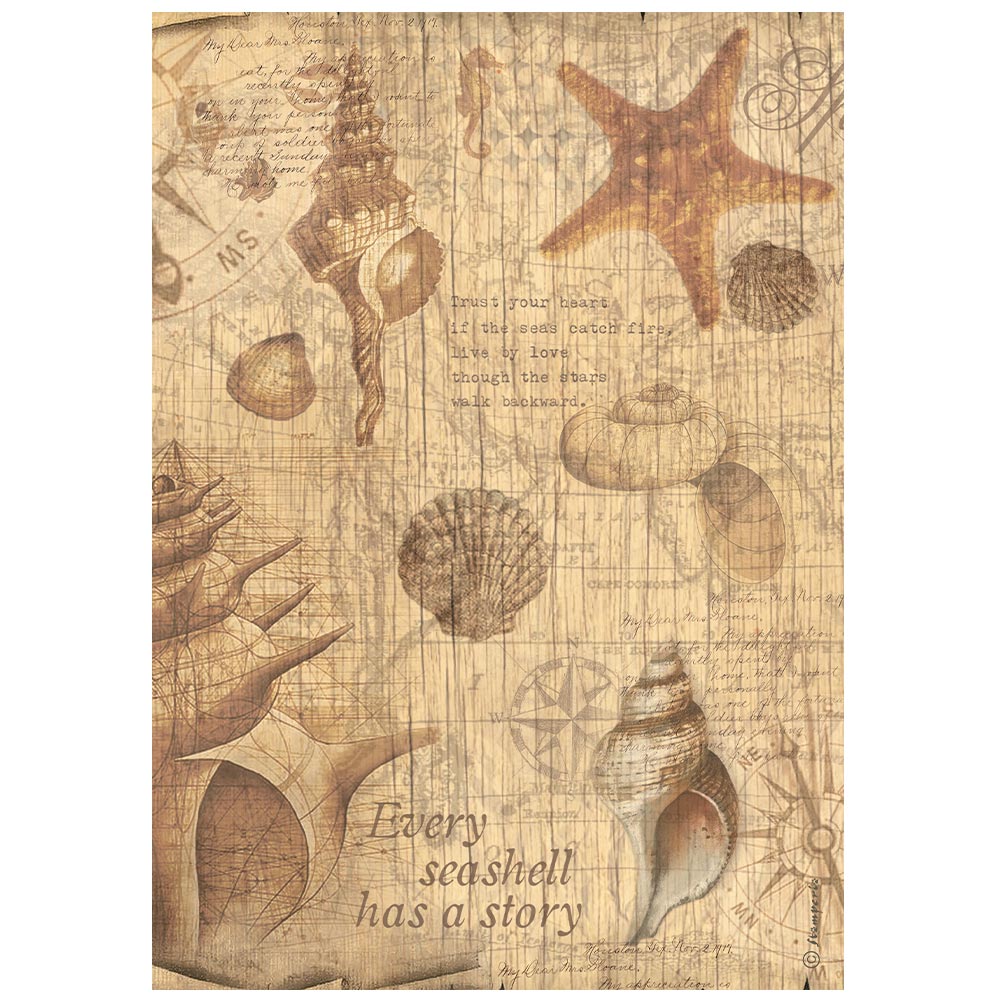 Stamperia  - Rice Paper -  21cm x 29.7cm - A4 -   Sea Land Shells