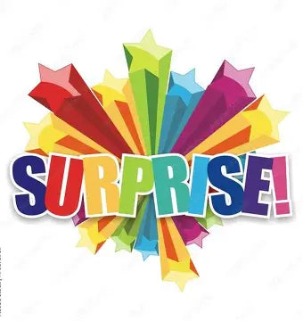 Surprise Class - Sunday 23rd August 2026 @ 10am - 3 hour class - $50 NON REFUNDABLE DEPOSIT