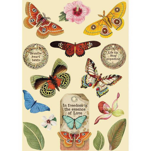 Stamperia - Chipboard - Coloured Wooden Shapes A6 - Amazonia Butterflies*