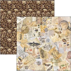 CIAO BELLA  - 12 x 12  Patterns Pad - Cabinet of Curiosities