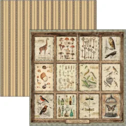 CIAO BELLA  - 12 x 12  Patterns Pad - Cabinet of Curiosities