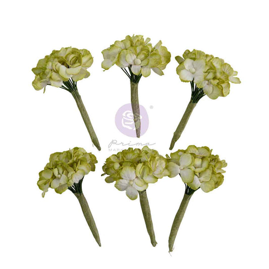 Prima - Homegrown Collection Flowers – Garden Hydrangea Mist – 5 pc