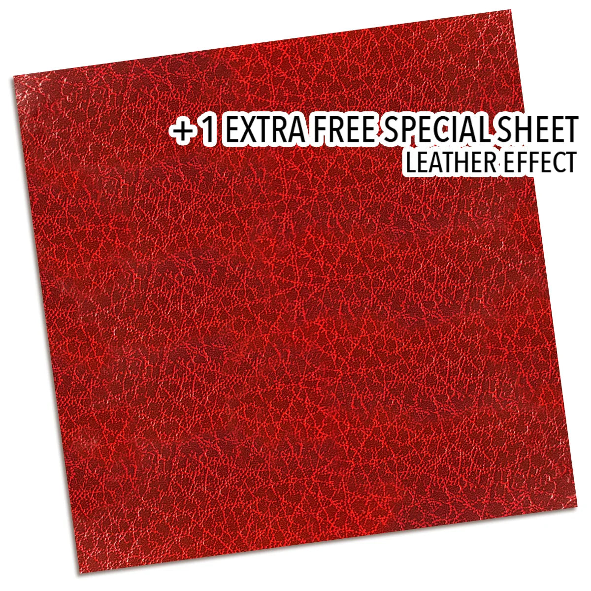 CIAO BELLA  - 8x8 Paper Pad - Book Lovers