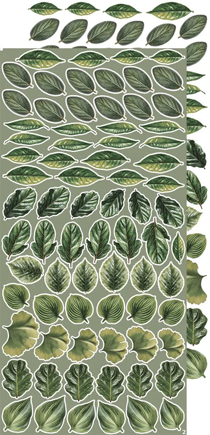 Leaves Creative - Extras Set 1