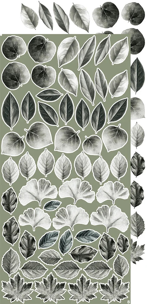 All Leaves Creative - Extras Set