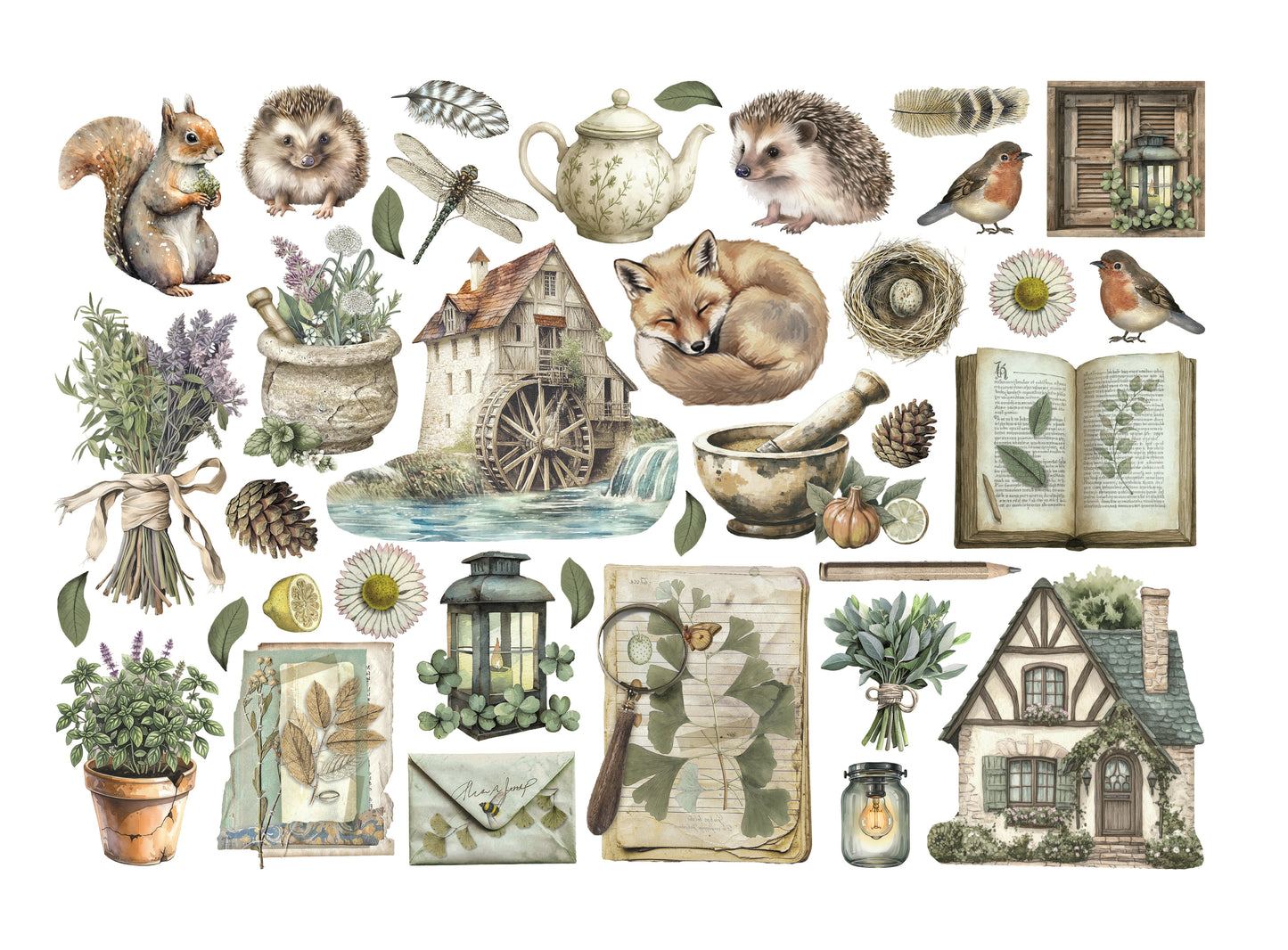 Stamperia - Ephemera - Herbarium Silvae