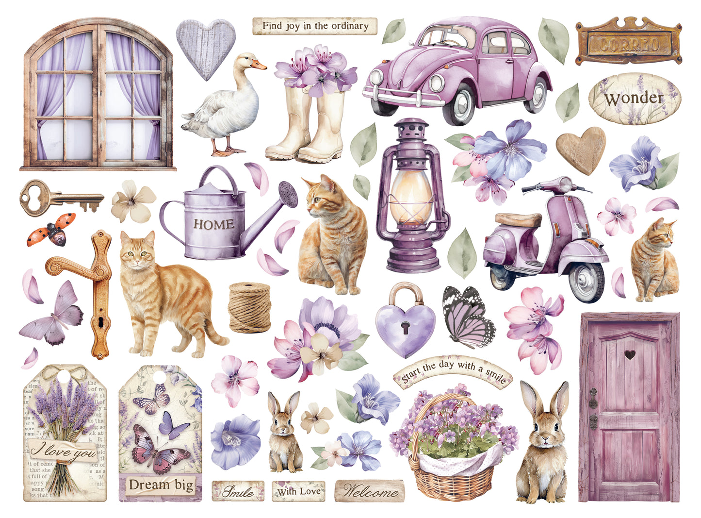 Stamperia - Die Cuts - Lavender