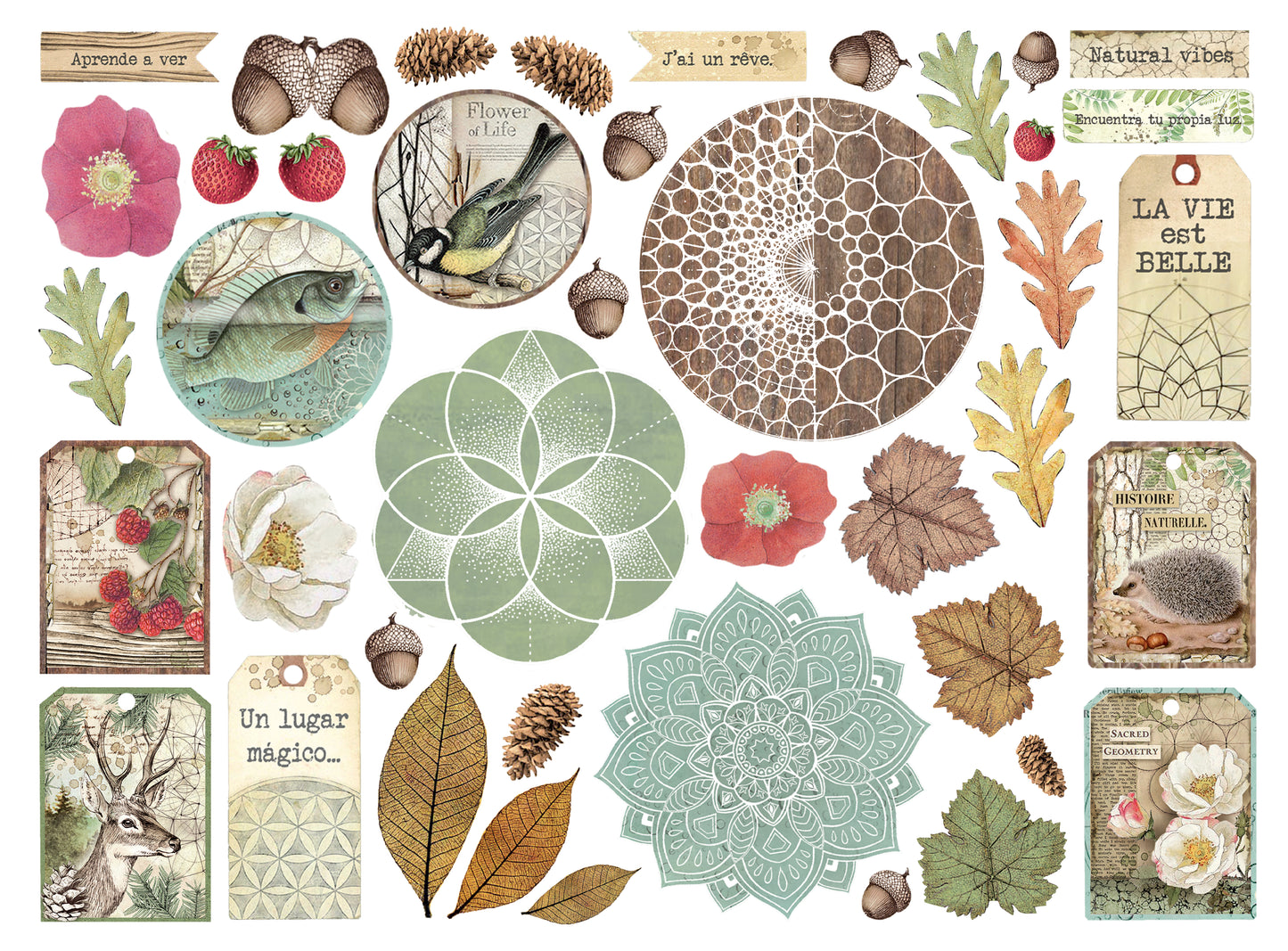 Stamperia - Die Cuts - Forest