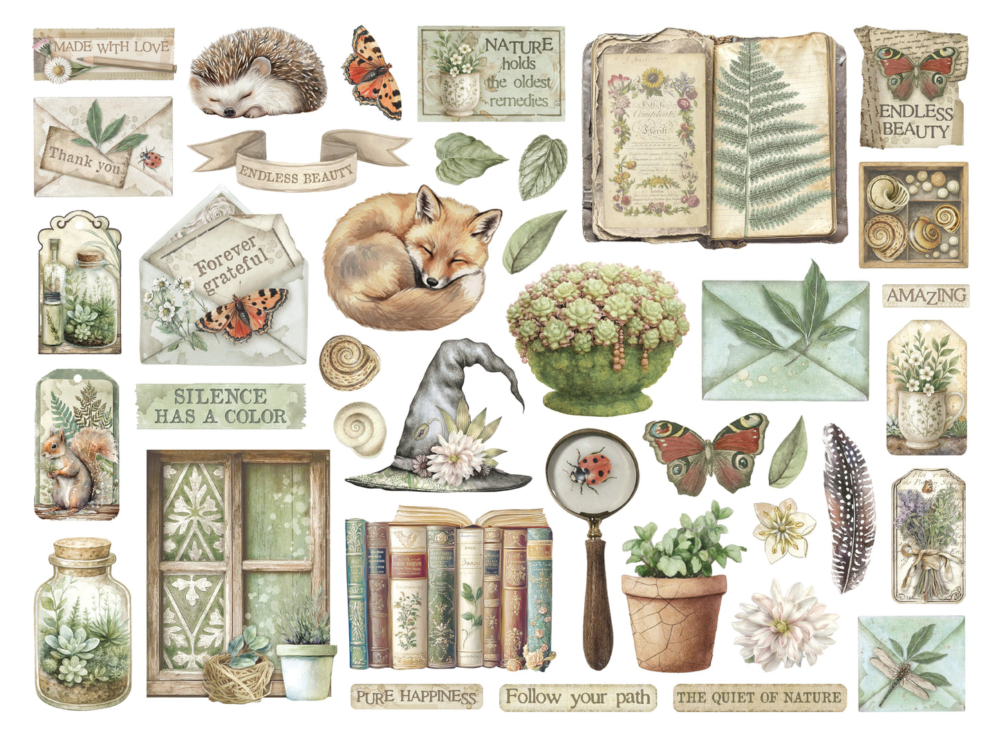 Stamperia - Die Cuts - Herbarium Silvae