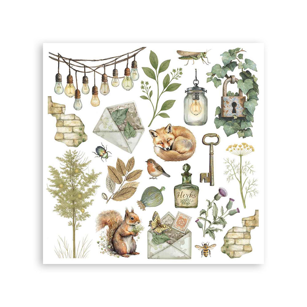 Stamperia - Assortment Rub on cm 15,5x15,5 - 6 pages - Herbarium Silvae