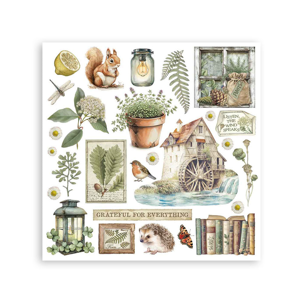 Stamperia - Assortment Rub on cm 15,5x15,5 - 6 pages - Herbarium Silvae