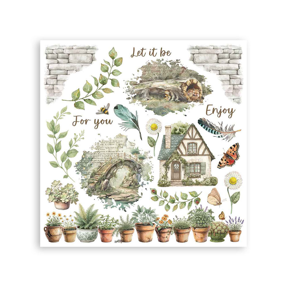 Stamperia - Assortment Rub on cm 15,5x15,5 - 6 pages - Herbarium Silvae