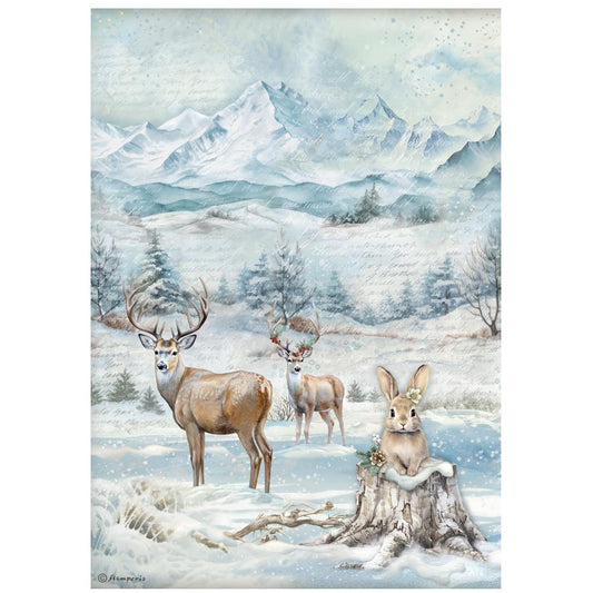 Stamperia  - Rice Paper -  21cm x 29.7cm - A4 - The Owl's House wildlife