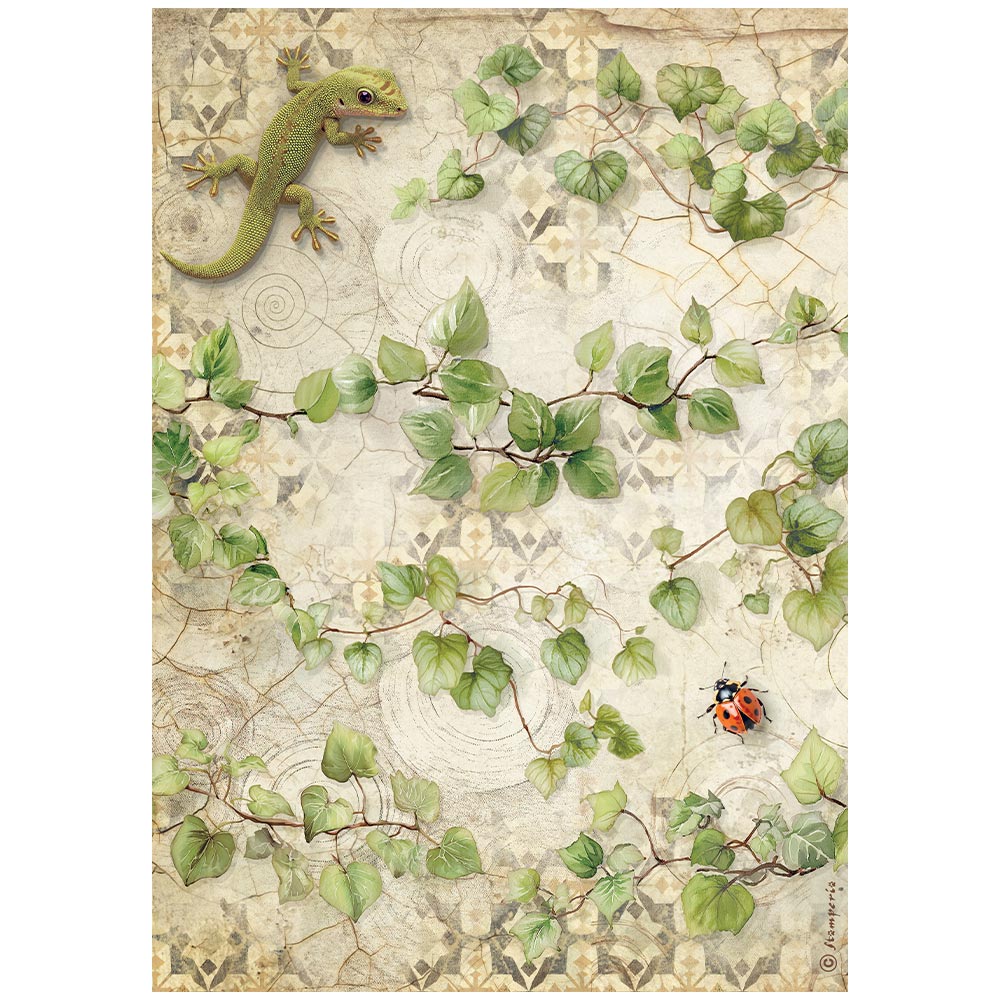 Stamperia  - Rice Paper -  21cm x 29.7cm - A4 - All Around ivy