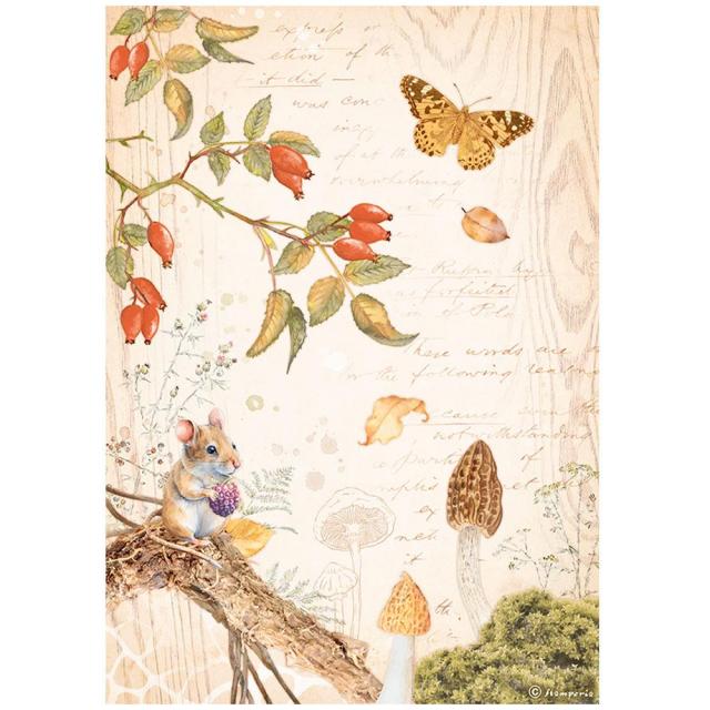 Stamperia  - Rice Paper -  21cm x 29.7cm - A4 -   Woodland Butterfly
