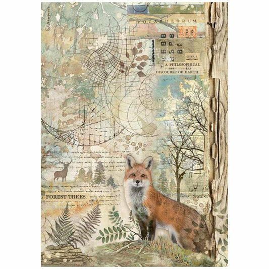 Stamperia   - A4 Rice Paper - Forest Fox