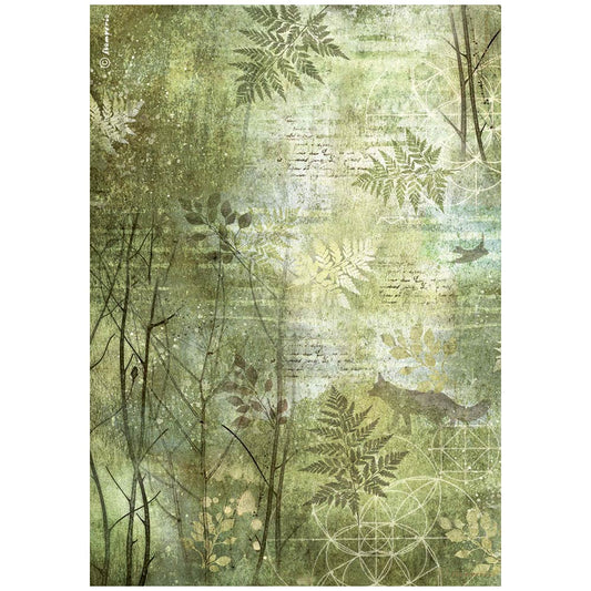 Stamperia   - A4 Rice Paper - Forest trees