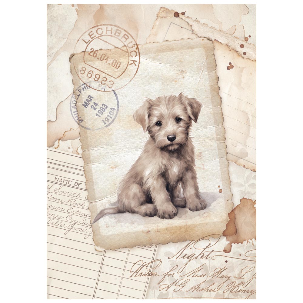 Stamperia  - Pack of 8 Mini Rice papers - A6 - Quiet Days