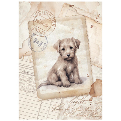 Stamperia  - Pack of 8 Mini Rice papers - A6 - Quiet Days