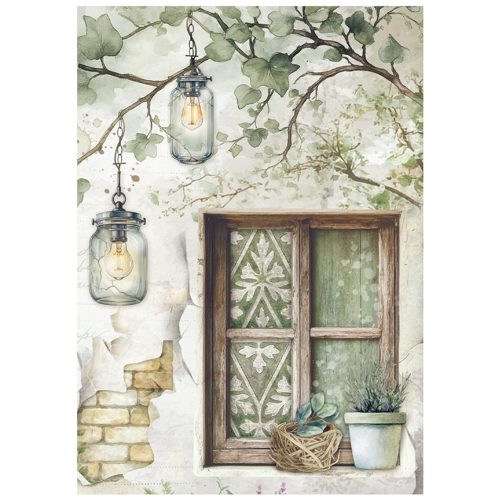 Stamperia  - Pack of 8 Mini Rice papers - A6 - Herbarium Silvae