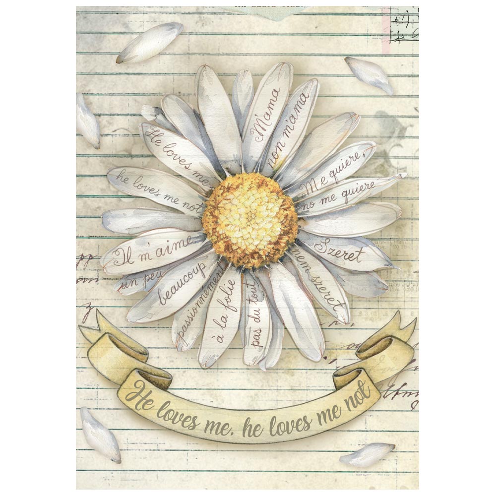 Stamperia  - Pack of 8 Mini Rice papers - A6 - Daisy Art