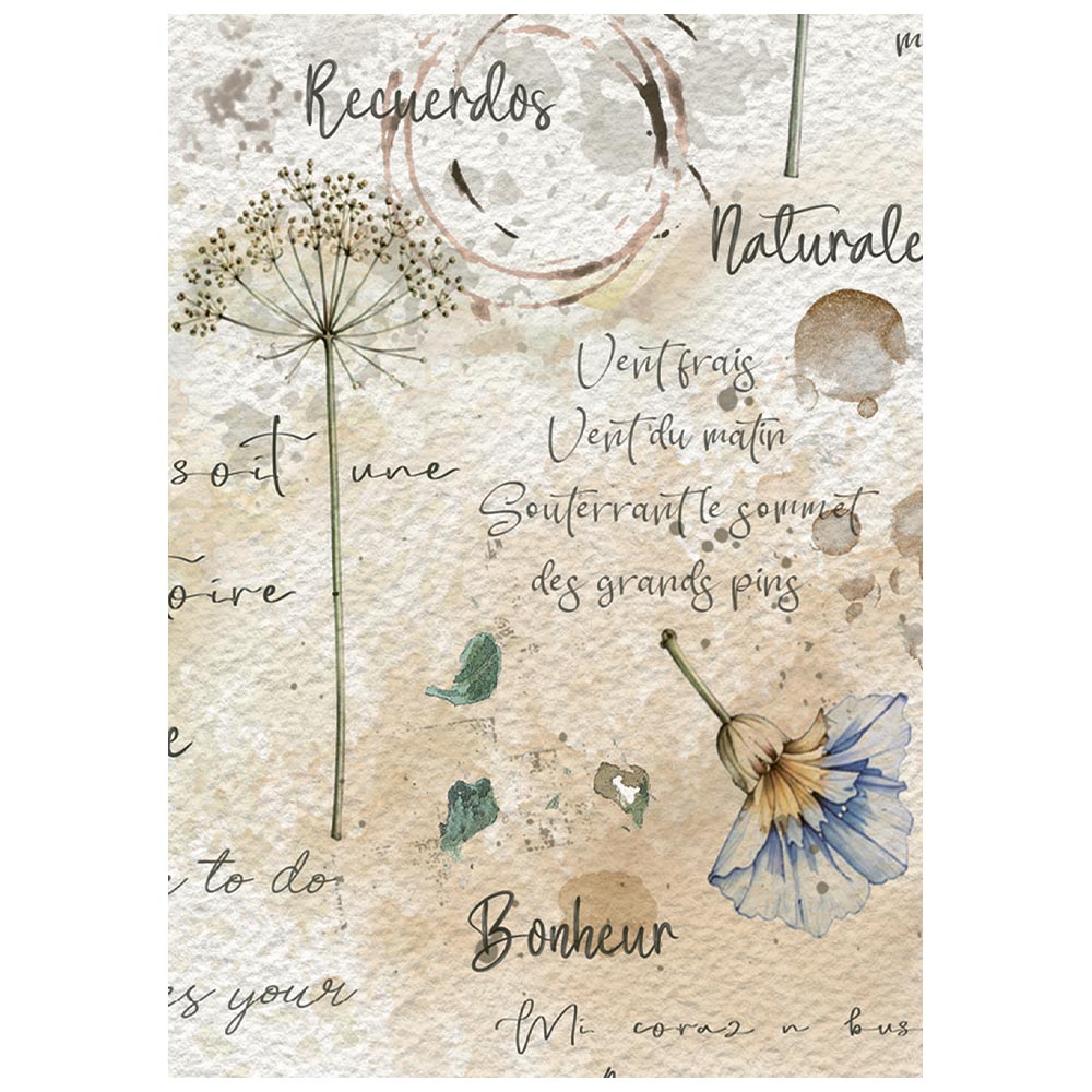 Stamperia  - Pack of 8 Mini Rice papers - A6 - Flowers and Poems