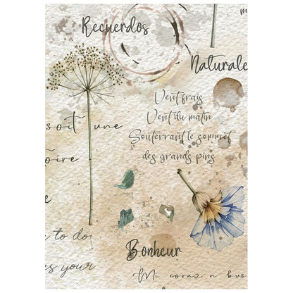 Stamperia  - Pack of 8 Mini Rice papers - A6 - Flowers and Poems