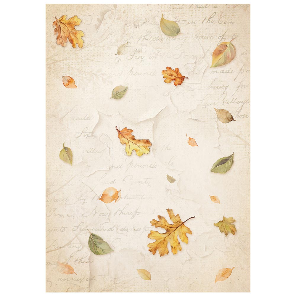 Stamperia  - Pack of 8 Rice papers -  10.5cm x 14.8cm - A6 - Whispering Woods