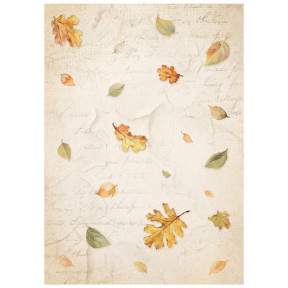 Stamperia  - Pack of 8 Rice papers -  10.5cm x 14.8cm - A6 - Whispering Woods