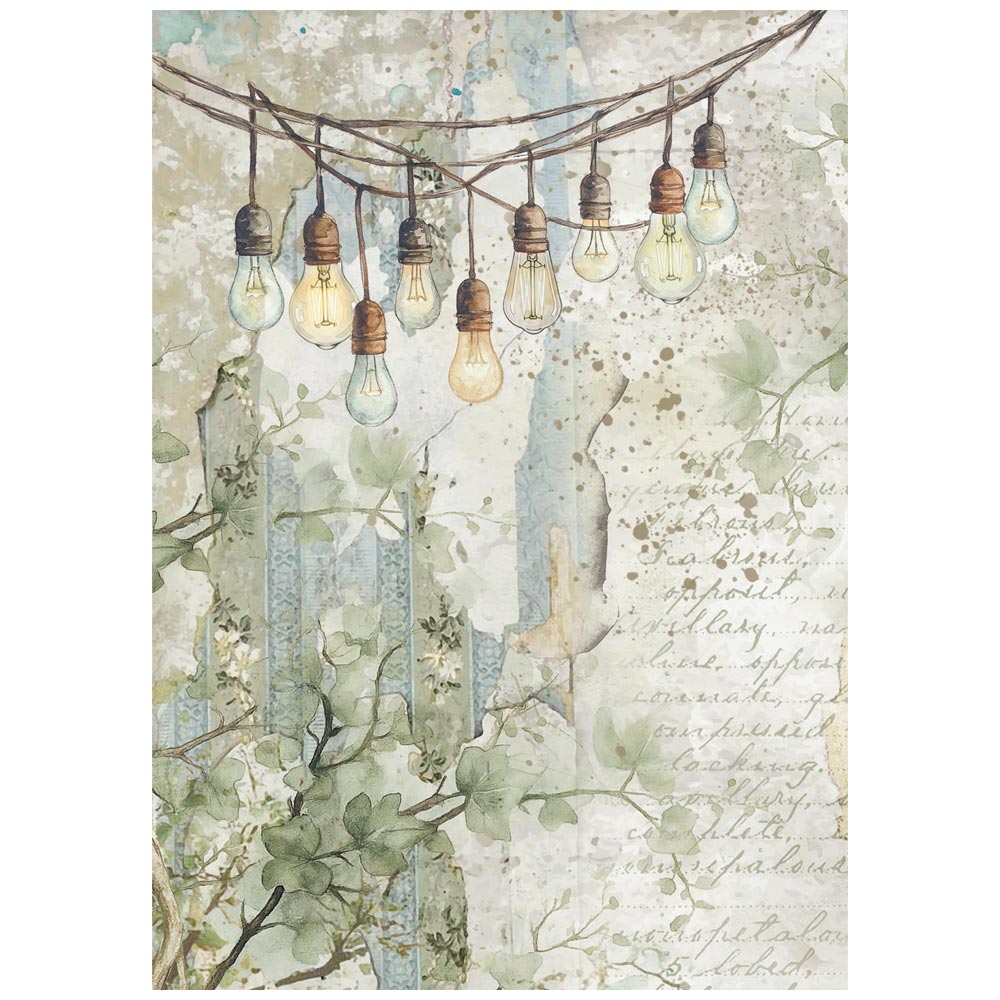 Stamperia  - Pack of 8 Rice papers - A6 Backgrounds - Herbarium Silvae