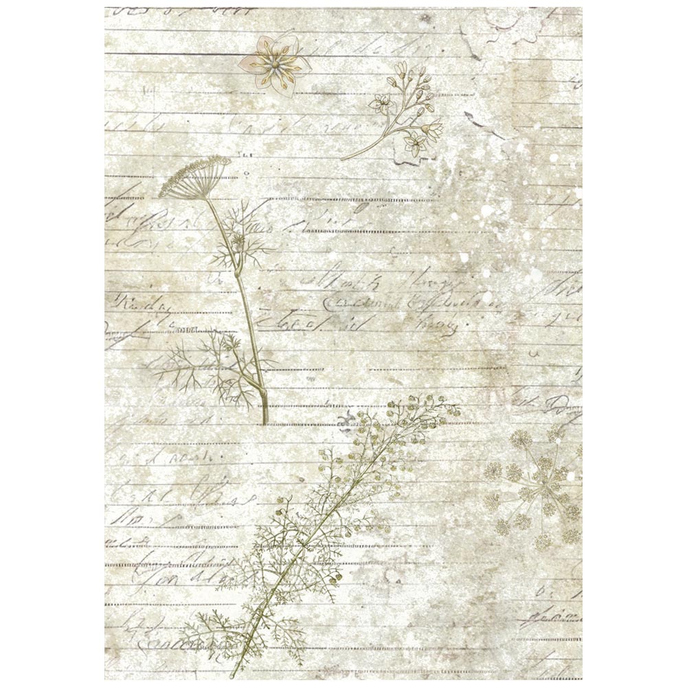 Stamperia  - Pack of 8 Rice papers - A6 Backgrounds - Herbarium Silvae