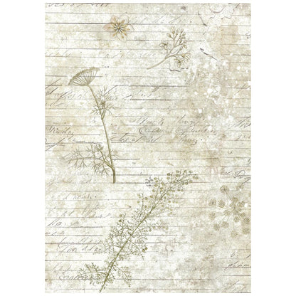 Stamperia  - Pack of 8 Rice papers - A6 Backgrounds - Herbarium Silvae