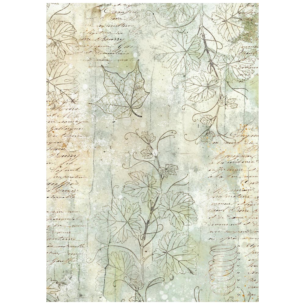 Stamperia  - Pack of 8 Rice papers - A6 Backgrounds - Herbarium Silvae