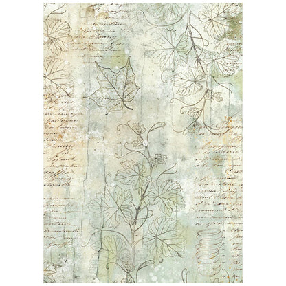 Stamperia  - Pack of 8 Rice papers - A6 Backgrounds - Herbarium Silvae