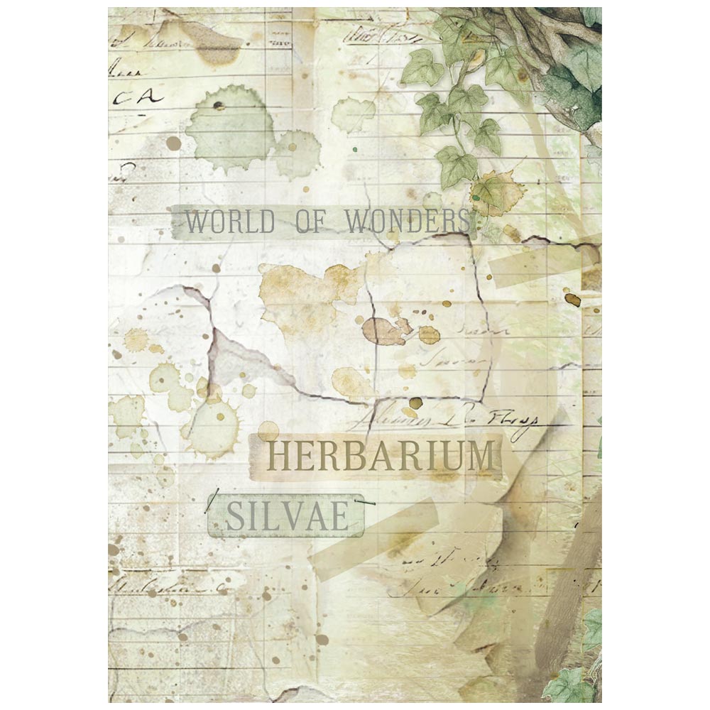 Stamperia  - Pack of 8 Rice papers - A6 Backgrounds - Herbarium Silvae