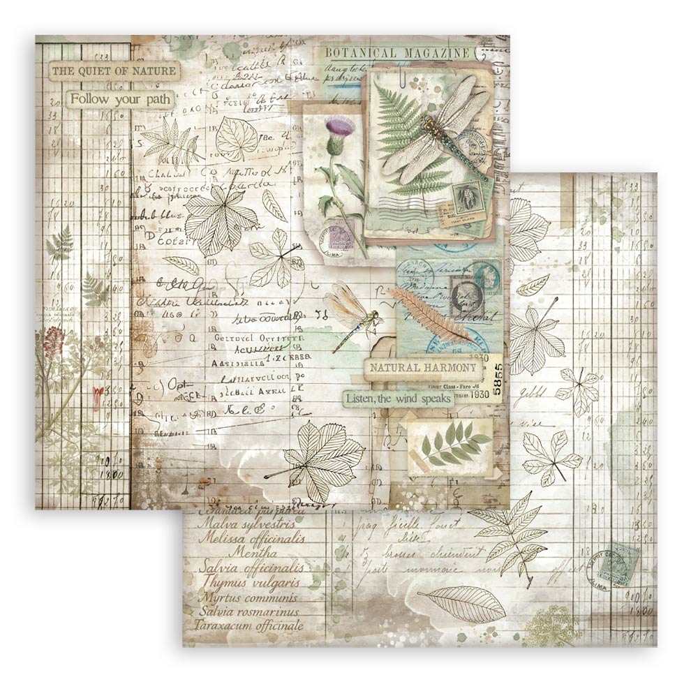 Stamperia -  (12”X12”) -  Paper pad - Herbarium Silvae