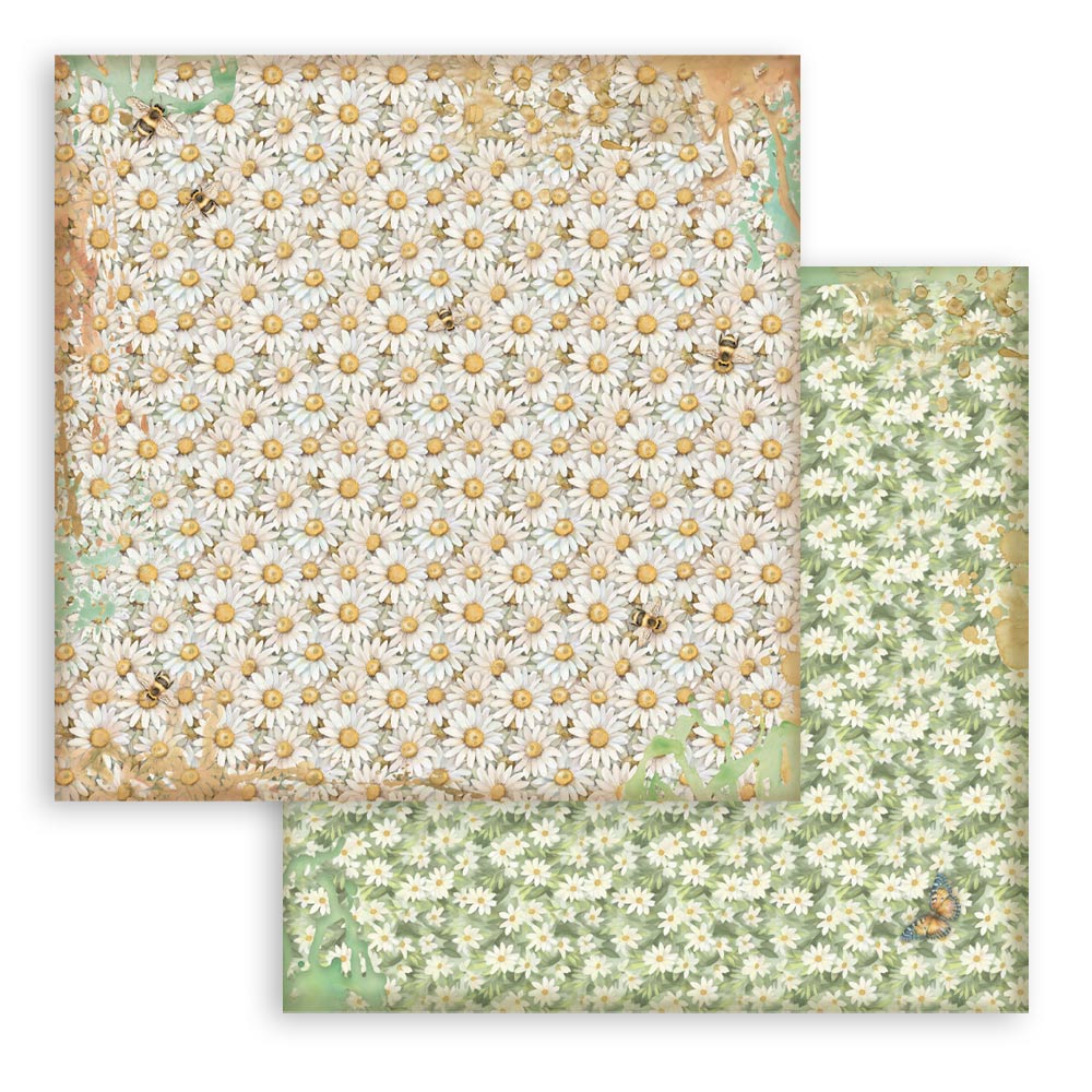 Stamperia - (12”X12”)  Backgrounds- Paper pad - Daisy Art