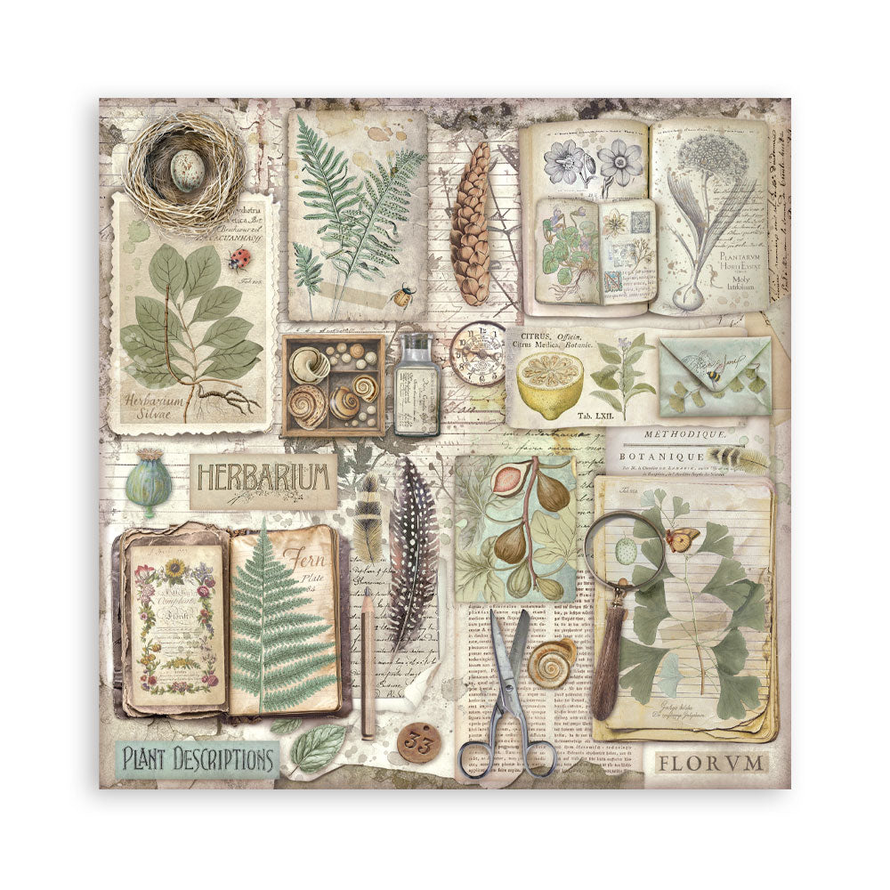 Stamperia -  (12”X12”) Single Face 22 sheets - Herbarium Silvae