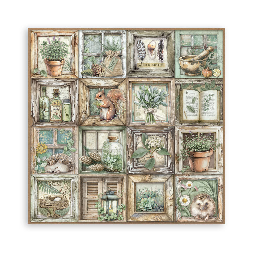 Stamperia -  (12”X12”) Single Face 22 sheets - Herbarium Silvae