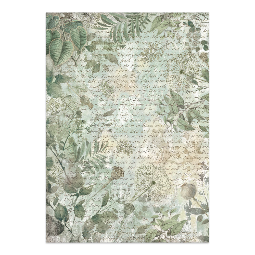 Stamperia- Junk Journal- Herbarium Silvae