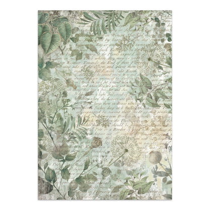 Stamperia- Junk Journal- Herbarium Silvae