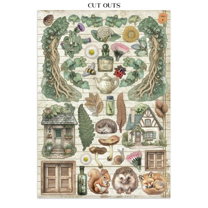 Stamperia- Junk Journal- Herbarium Silvae