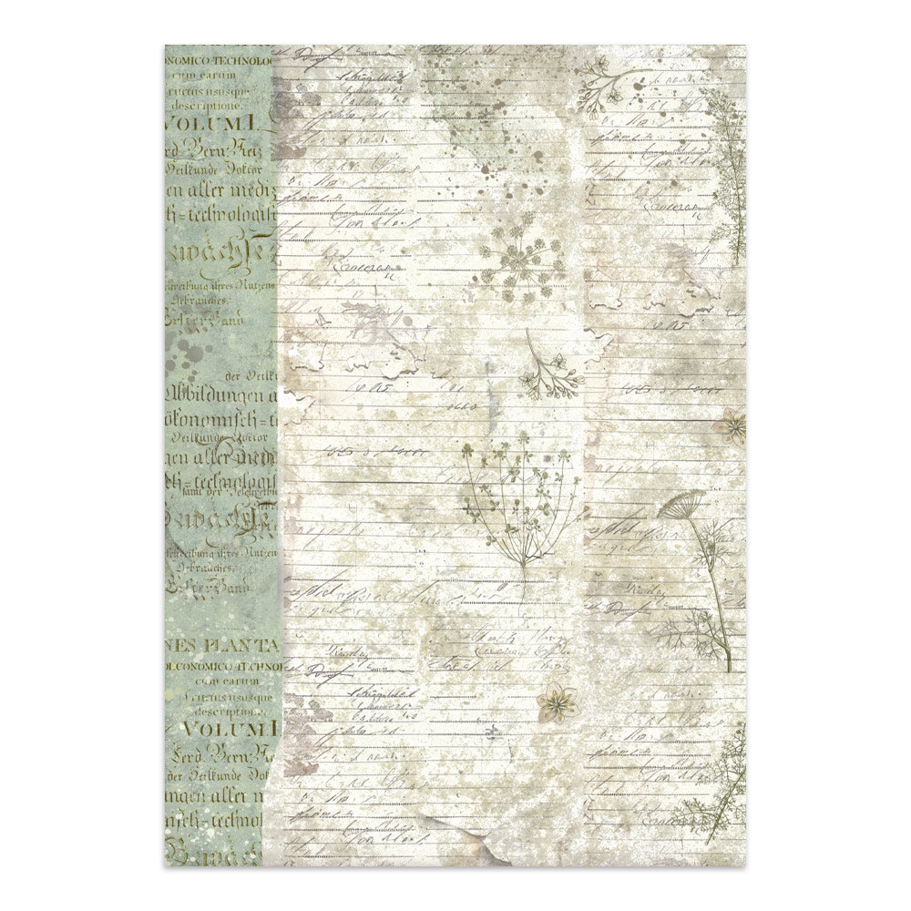 Stamperia- Junk Journal- Herbarium Silvae