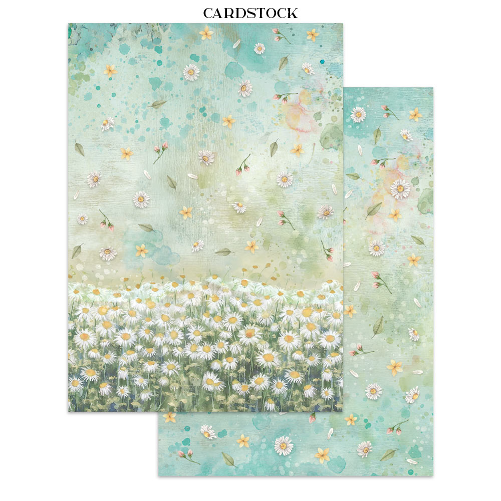 Stamperia- Junk Journal- Daisy Art